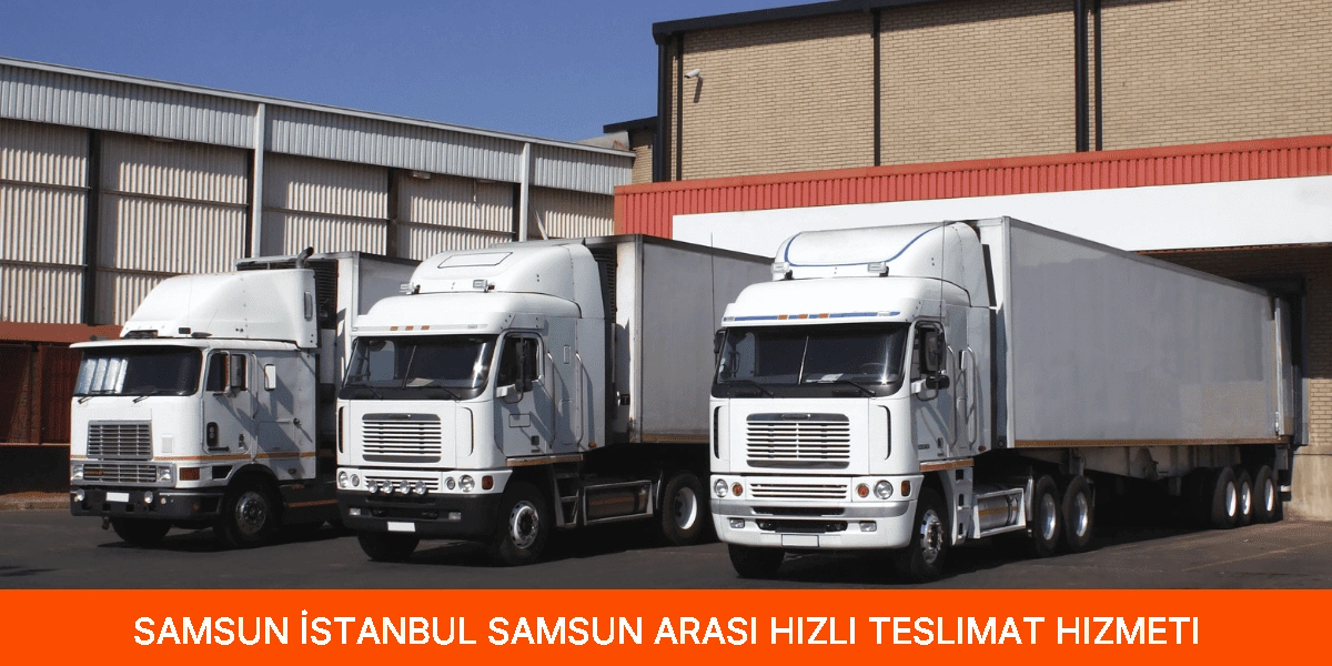 İstanbul Samsun Arası Hızlı Teslimat Hizmeti