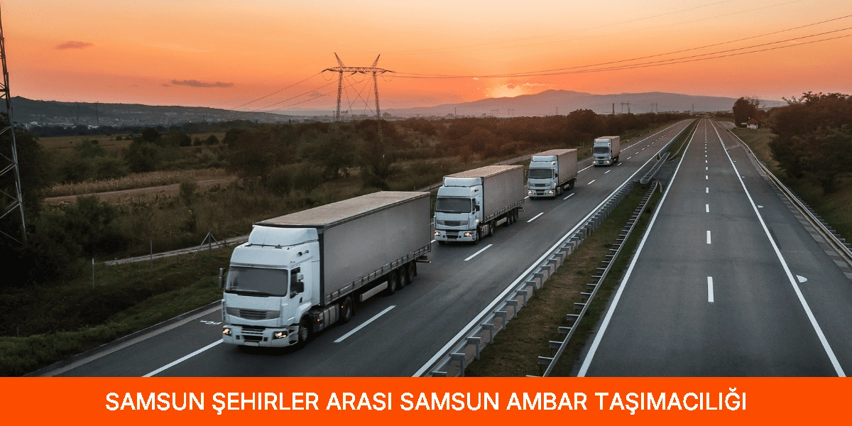 Şehirler Arası Samsun Ambar Taşımacılığı